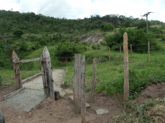 Magnólia (Foto: Internet)